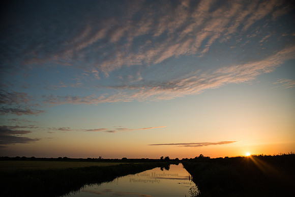 Condor Green Sunset-1