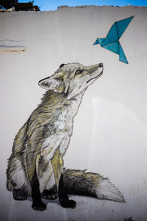 Animals-6