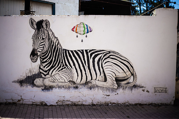 Animals-8